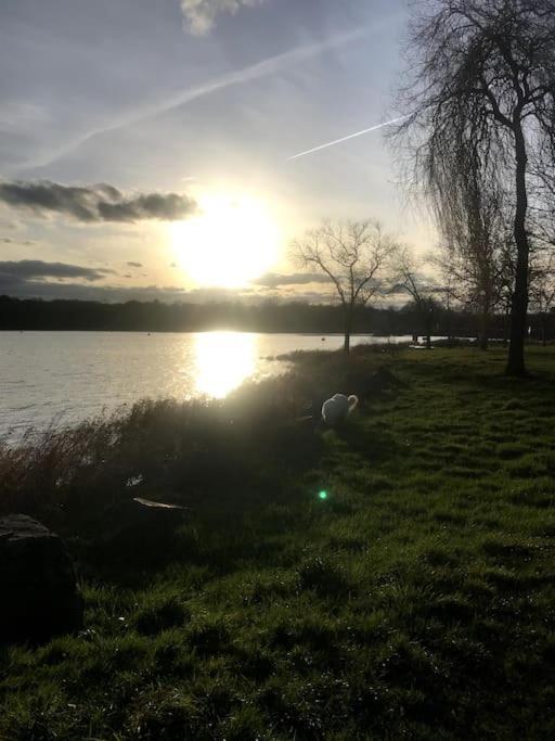 Gite A La Campagne Au Bord D'Un Lac 8 Personnes Saint-Quentin-sur-Charente Extérieur photo