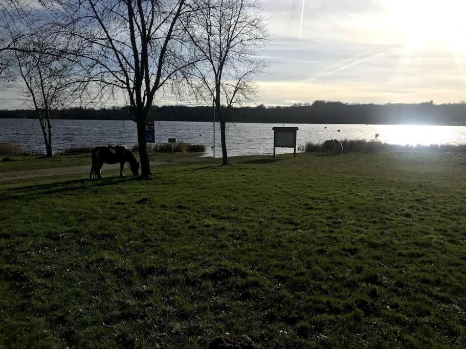 Gite A La Campagne Au Bord D'Un Lac 8 Personnes Saint-Quentin-sur-Charente Extérieur photo