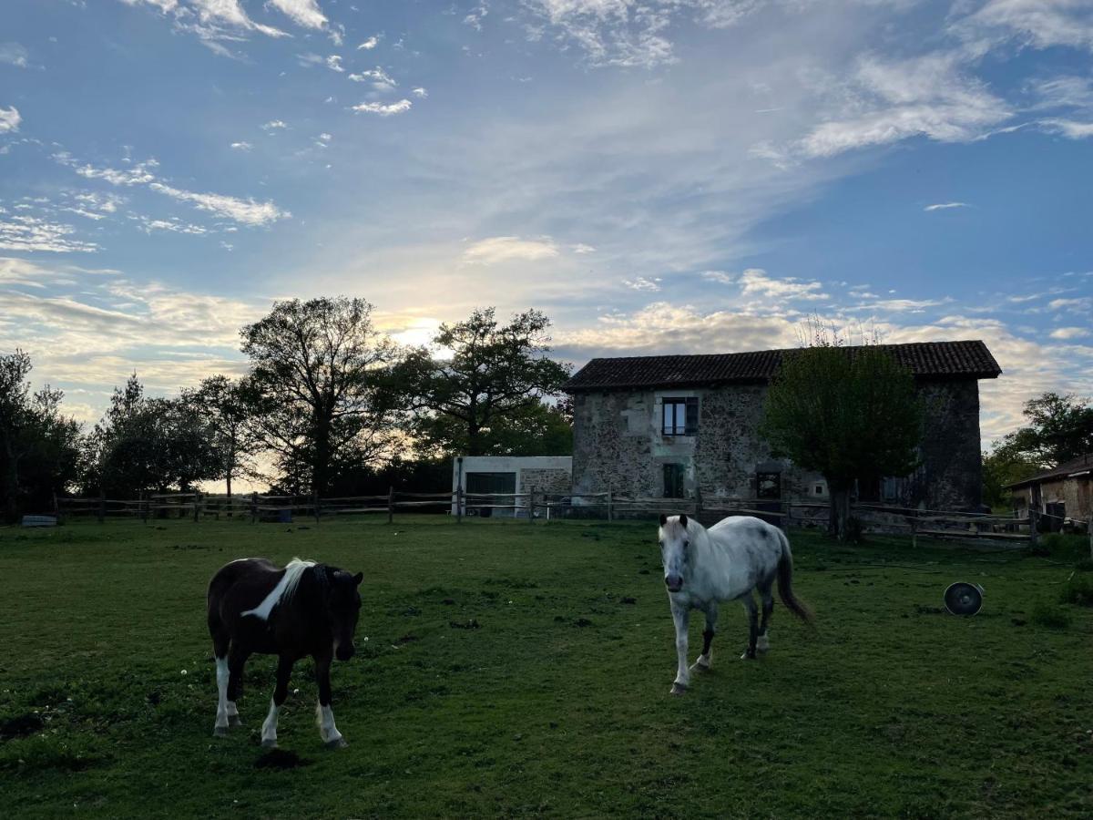 Gite A La Campagne Au Bord D'Un Lac 8 Personnes Saint-Quentin-sur-Charente Extérieur photo